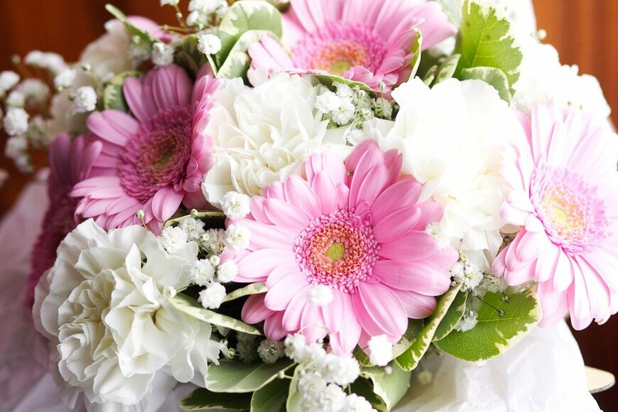 violettenlandungoy/istockphoto.com