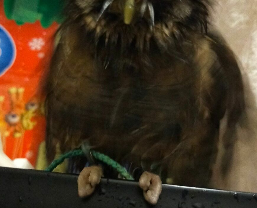 出所：@sora2020_07_05