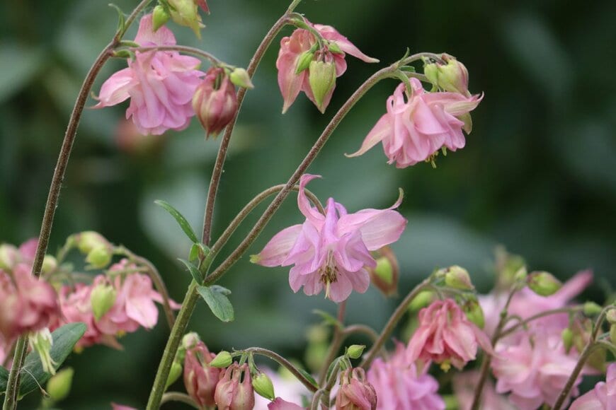 Kazakov Maksim/shutterstock.com