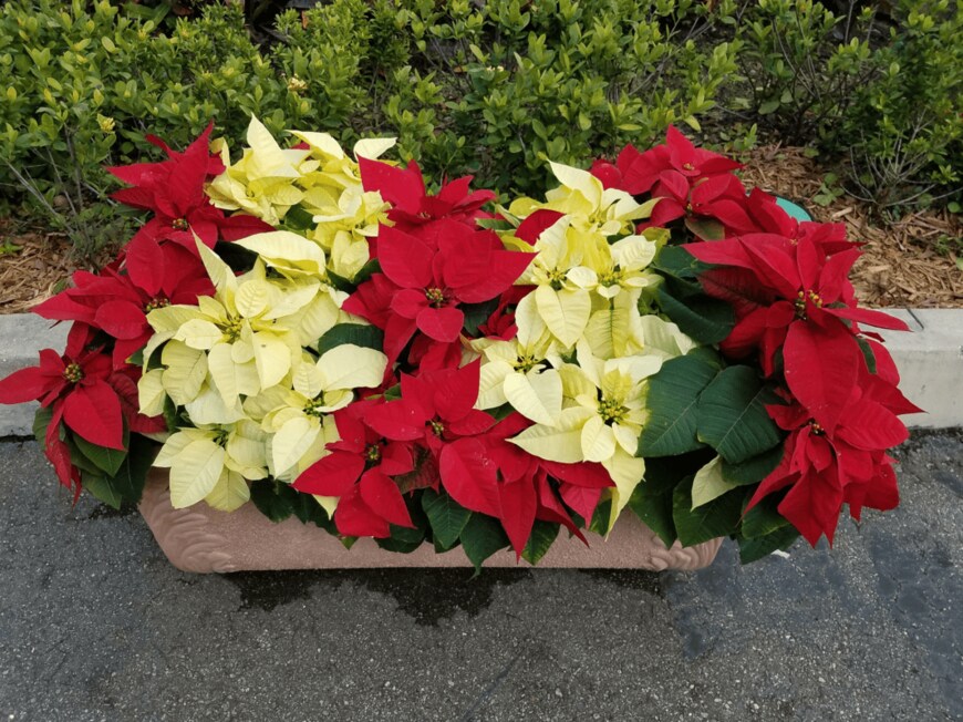 stockphotofan1/shutterstock.com                 