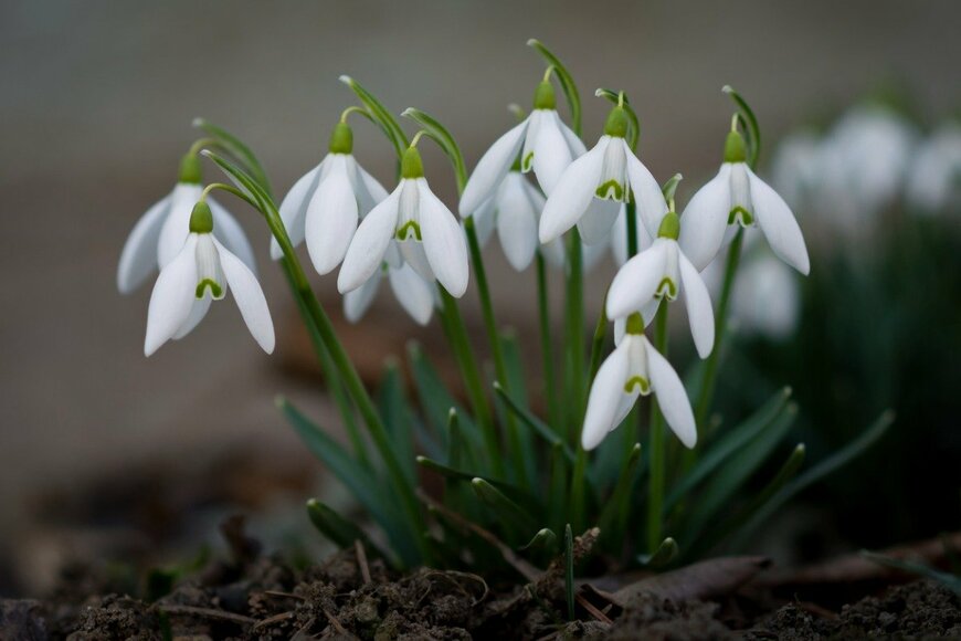 matkovci/istockphoto.com