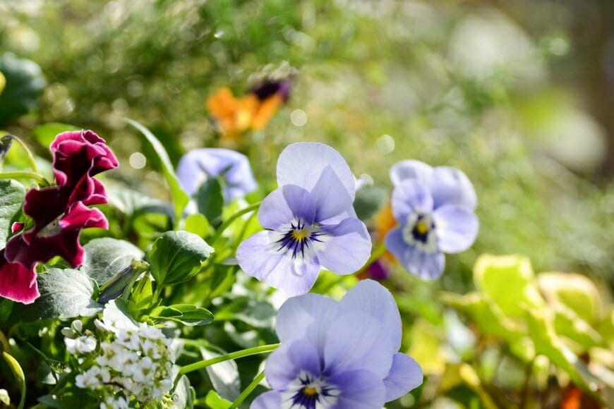 botamochi/istockphoto.com