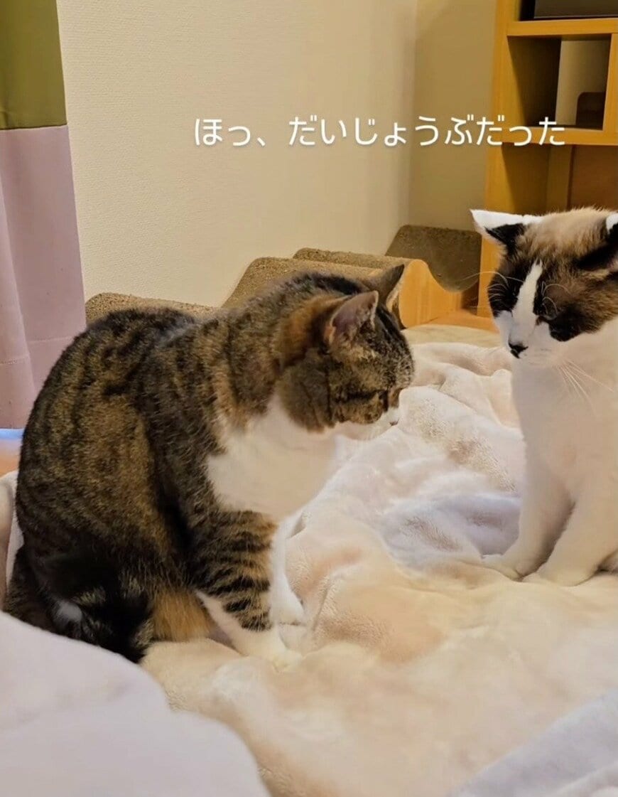 出所：@hukuhukuhappi