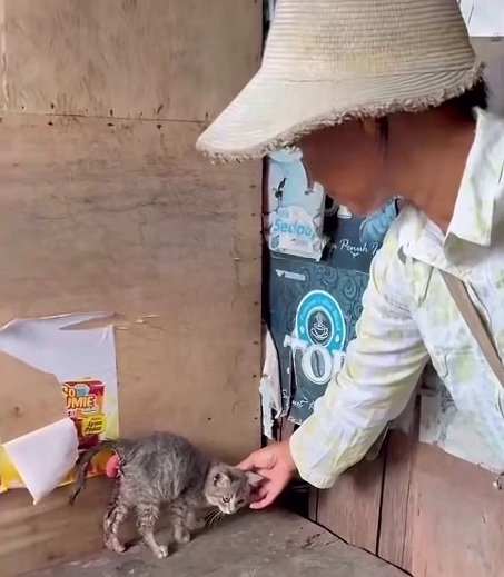 「子猫にふさわしいハッピーエンド」市場に取り残された生後6週の子猫、緊急手術を経て新しい家族の腕の中へ