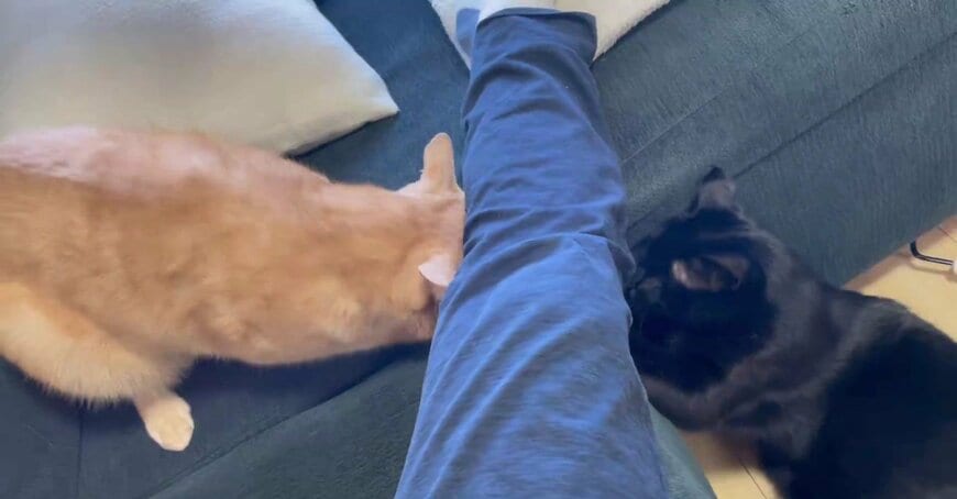 出所：＠Teagle_Noir