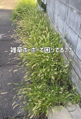 「素敵ですね！」築30年戸建の「雑草だらけの庭」→レンガと多肉植物で「癒しのセダム花壇」に大変身！愛でたくなるスペース爆誕