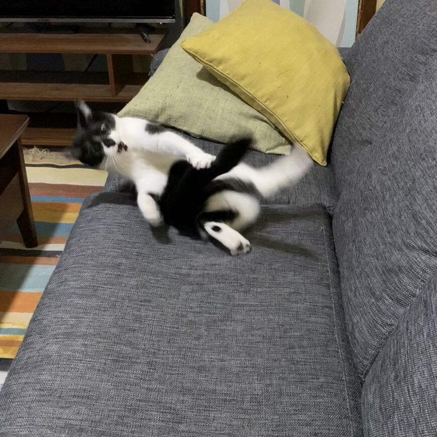 出所：@00shitemita