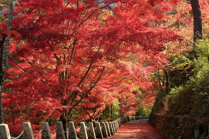 出所:funny face/shutterstock.com