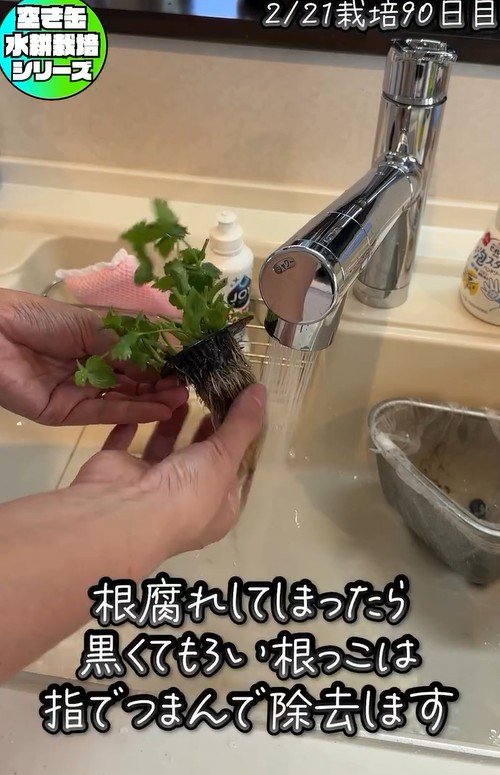 出所：@mikanbo_ya19_87