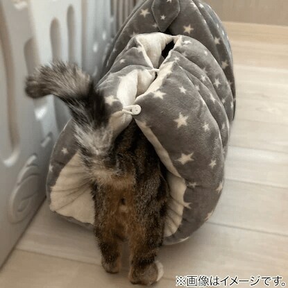 画像出所：ニトリ公式