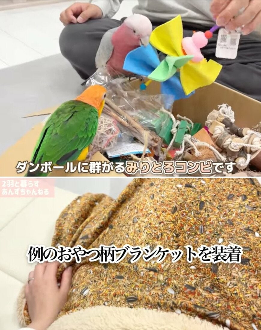 出所：@anz_omomiri