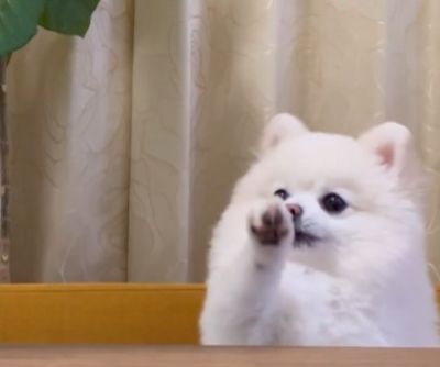 出所：@boku_ponchan