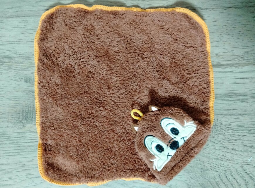 筆者撮影（セリア、ポケットタオル/チップ）