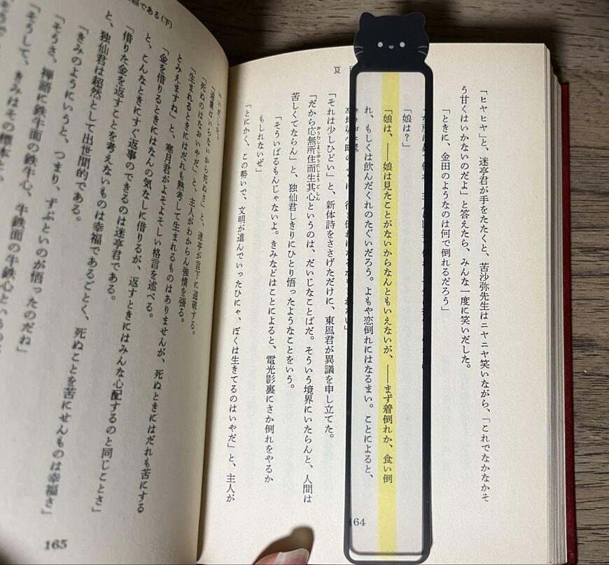 キャンドゥ、リーディングトラッカー 2P筆者撮影写真