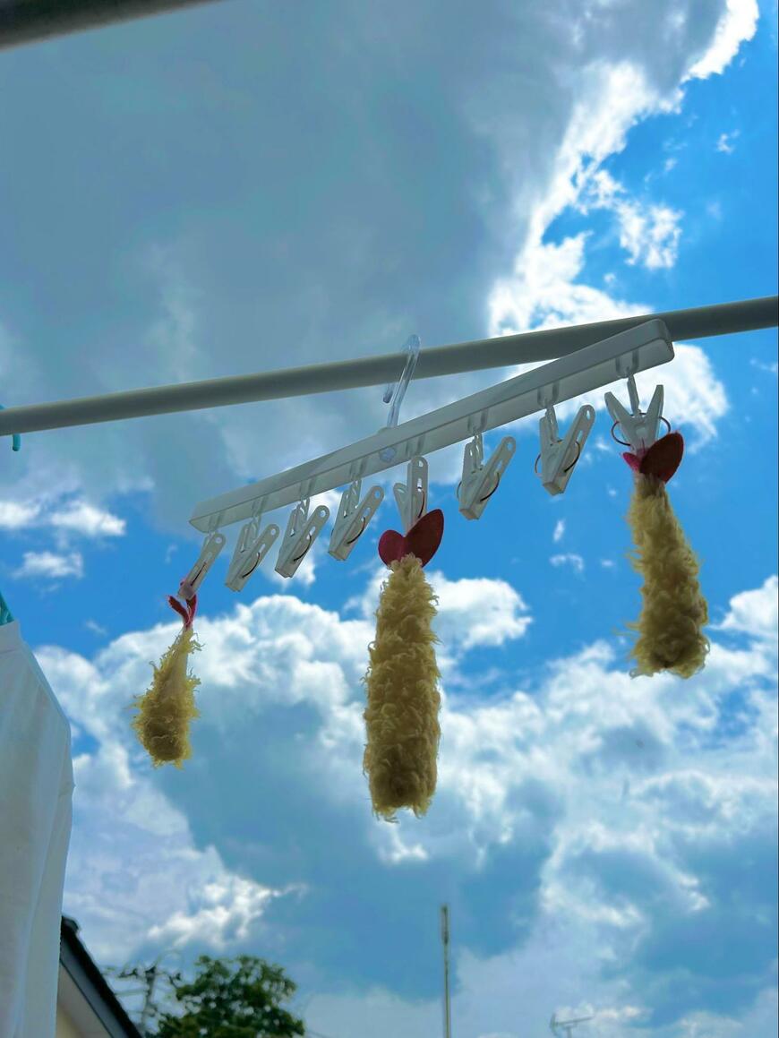 外に干されたえび天?