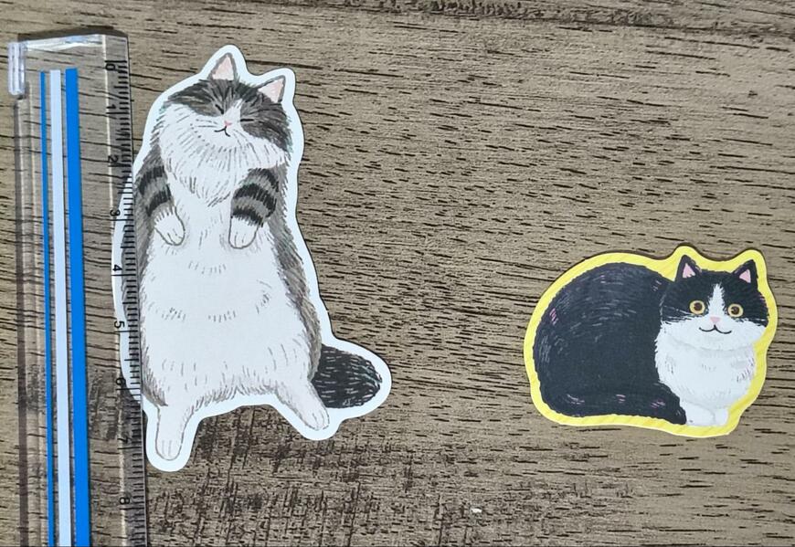 セリア、上質フレークシール 大きな猫の画像