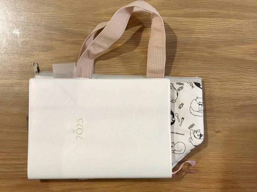 キャンドゥの猫デザイン「保冷・保温ランチバッグ」