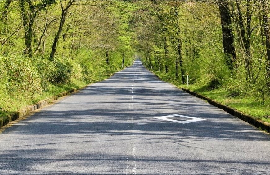大山への一本道