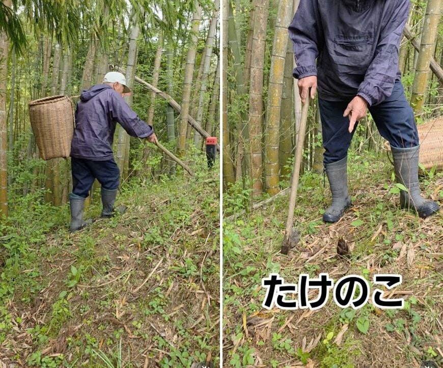 80代のおじいちゃん