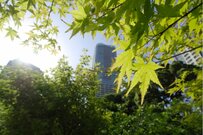 平均所得1000万円超え！港区の富裕層が住む「3Aエリア」の高級マンション