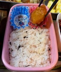 「メインおかずがかくれんぼ？」元料理人の父が息子と一緒に作る【豚しょうが焼き弁当】おかずのまさかの詰めワザに反響