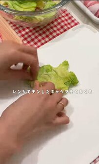 【肉巻き弁当】春キャベツがおいしい今、時短おかずに！断面が美しいと話題
