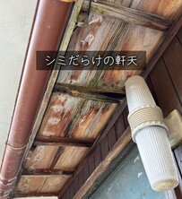 「素敵です」築56年古民家の〈色褪せた外壁〉を50代女性が…モダンな〈マットブラックの外観〉に大変身させて話題沸騰！