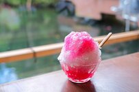 【最新】日本の平均寿命「男性81歳・女性87歳」70歳代「月の生活費」ふつうは黒字か、赤字か？平均貯蓄額・平均年金月額も