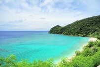 奄美大島の伝統ドリンク「みき」とは？予想外の味とカロリーに「初めて見ました」「現地でどハマり」との声