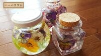 【超簡単】お金をかけずに楽しめる！庭に咲いた「パンビオ」×「100均アイテム」で作る《押し花＆ハーバリウム》