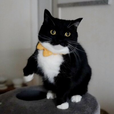 前足をそっとあげるウニくん