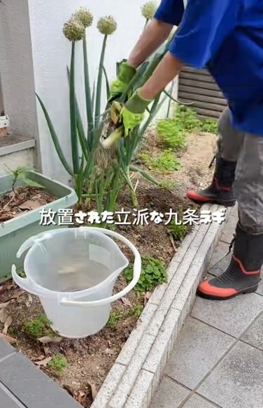 投稿動画のワンシーン
