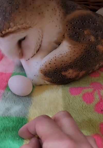 投稿動画のワンシーン