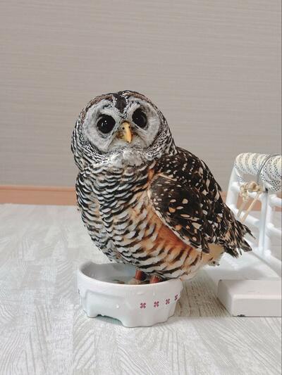 投稿写真