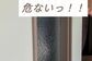 【築40年の家DIY】子供が叩いて割れると危ないすりガラス　プラダンでカバーして安心な「和×ヴィンテージ空間」に