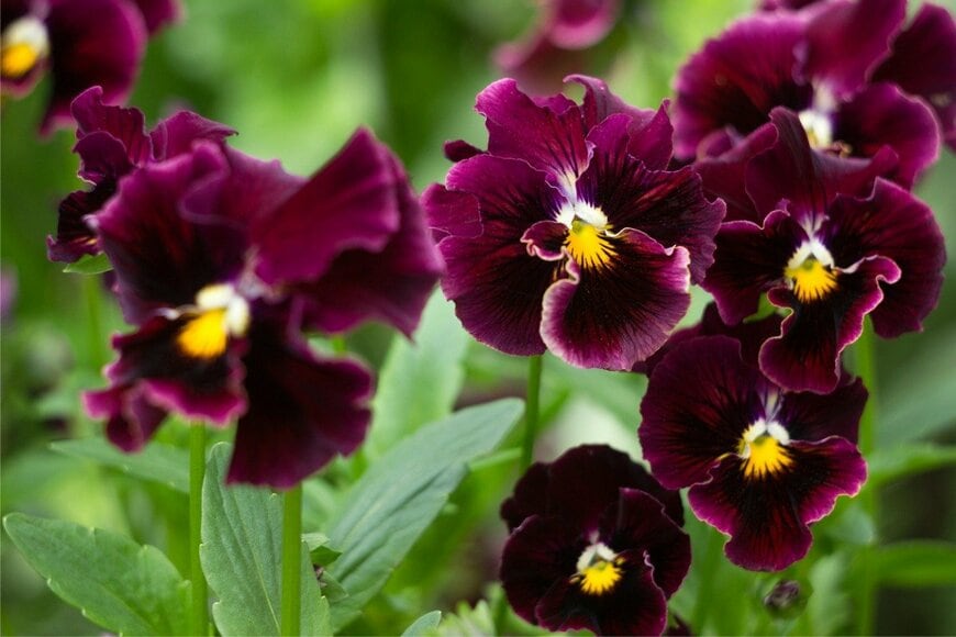 Milanika/istockphoto.com