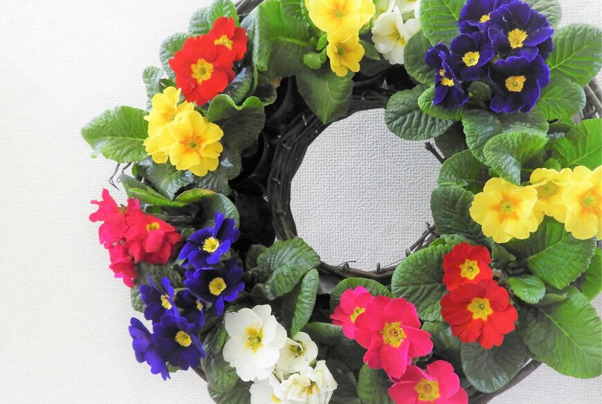                                                            Chiemi Kumitani/istockphoto.com