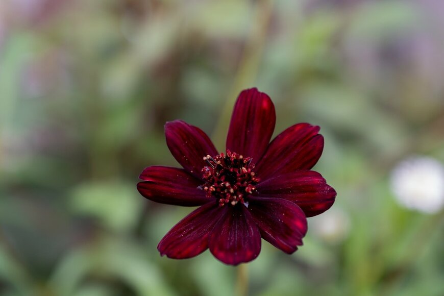 kinpouge05/istockphoto.com