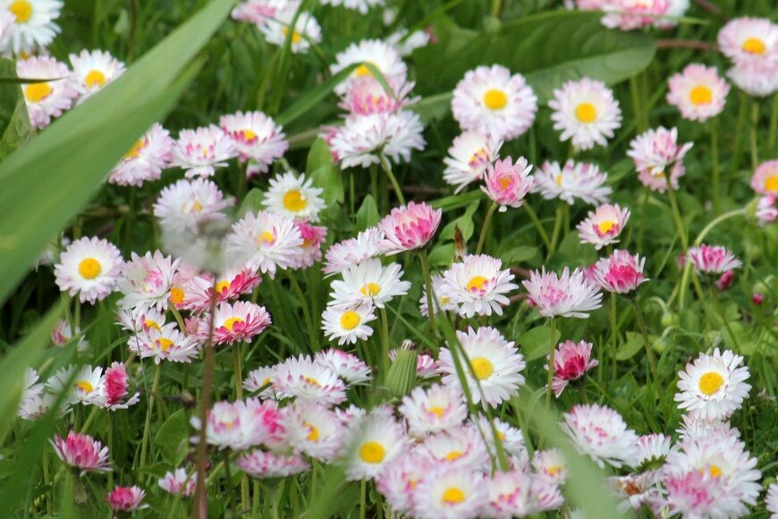 kazakovmaksim/istockphoto.com