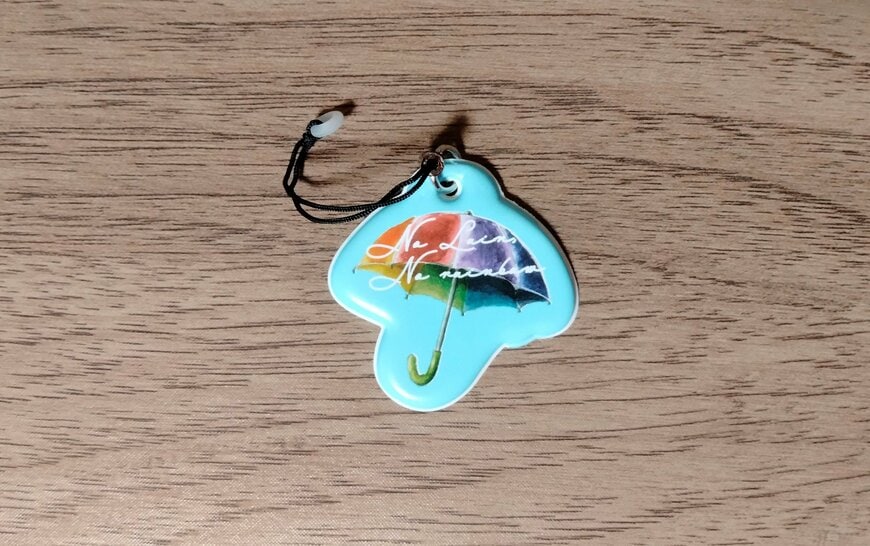 筆者撮影（セリア、マグネット傘ストラップ）