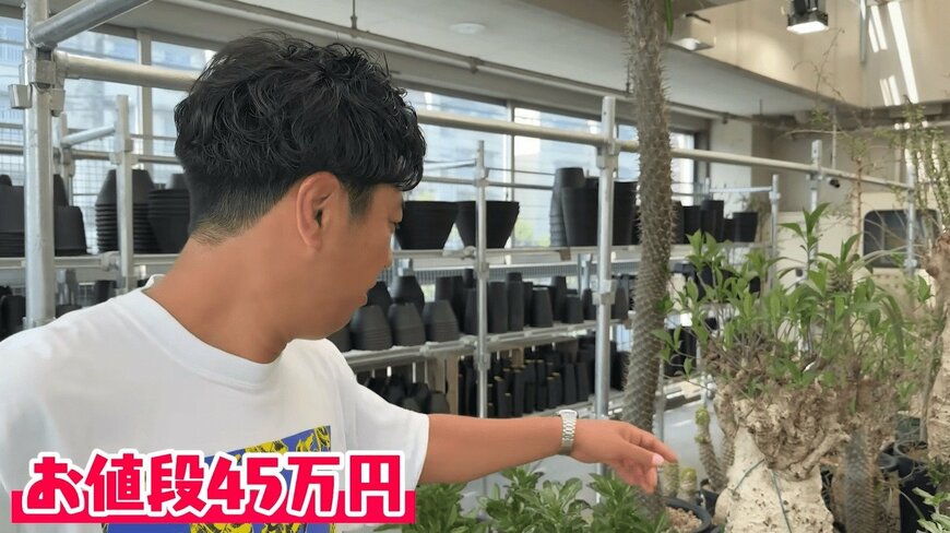 出所：尾形貴弘のYouTube（＠パンサー尾形の尾形軍団チャンネル）参照日：2026年7月5日