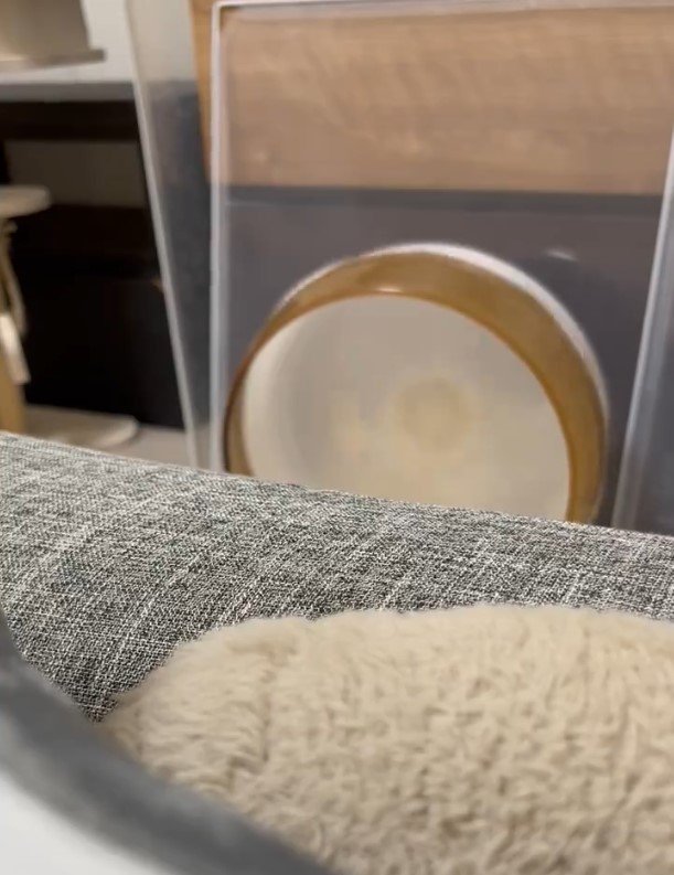 出所：@neko_no_hanatan