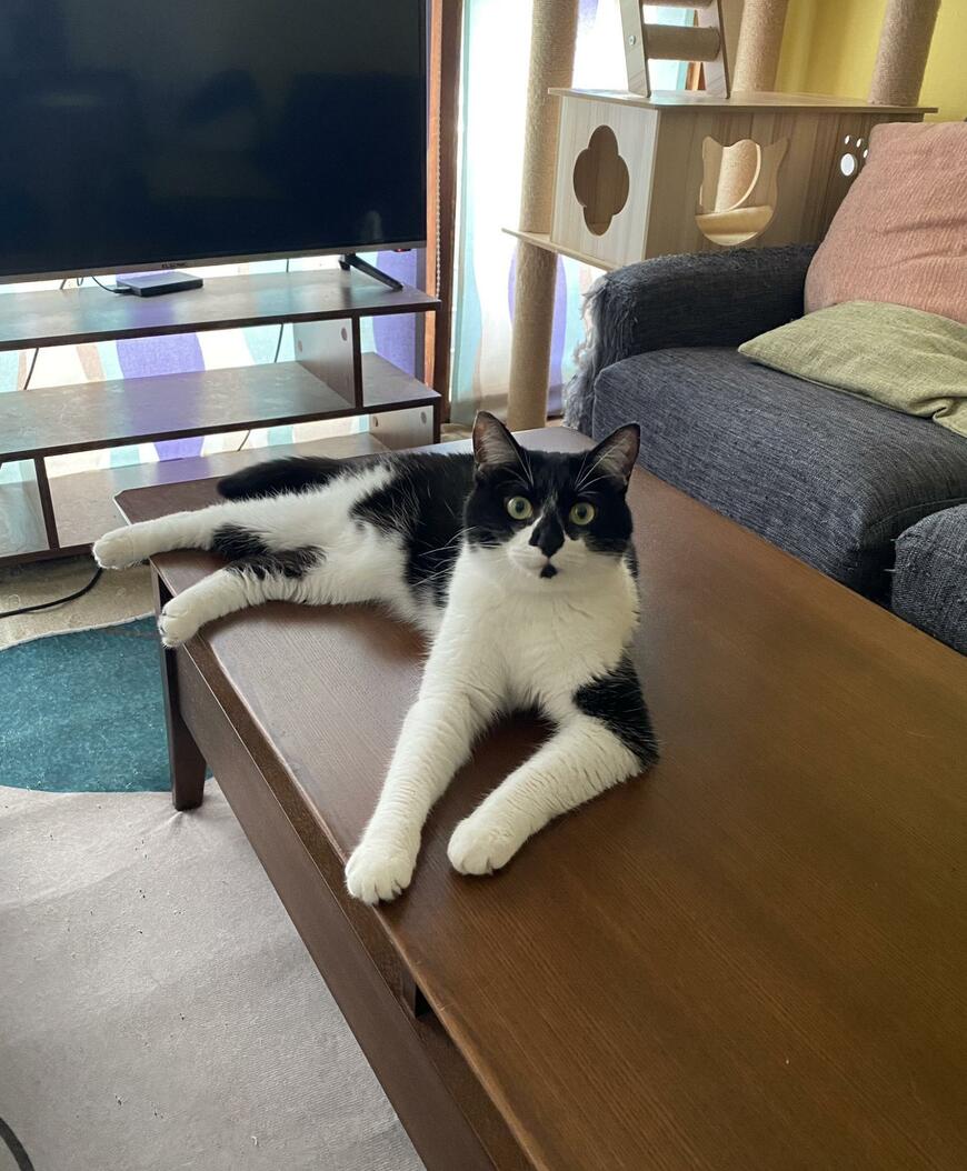 出所：@00shitemita