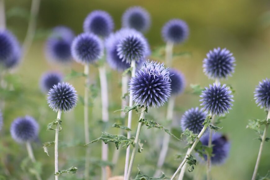 Kabar/shutterstock.com