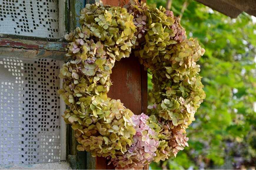 Wreath of withering hydrangeas on the window of an old house on the background of the garden close-up（Bankiras/Shutterstock.com)