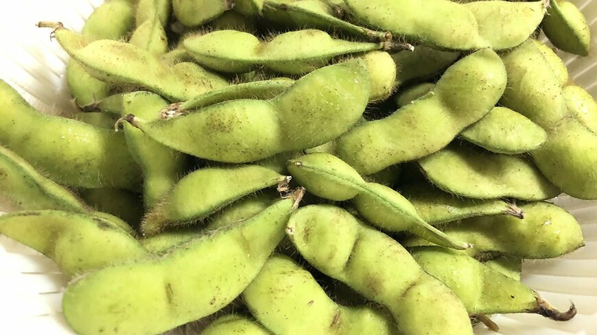 画像出典：@zennoh_food