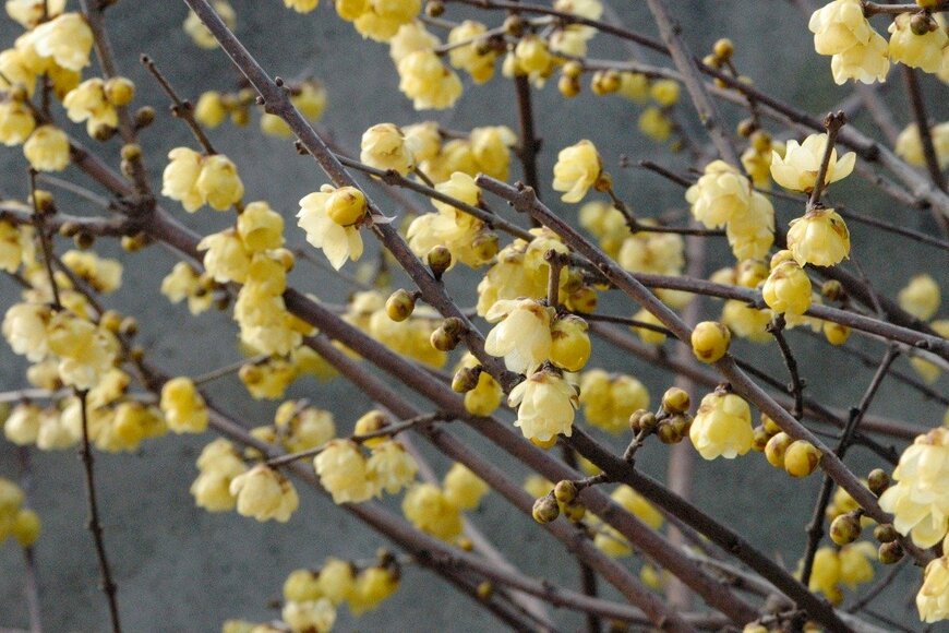 E46AV22/istockphoto.com