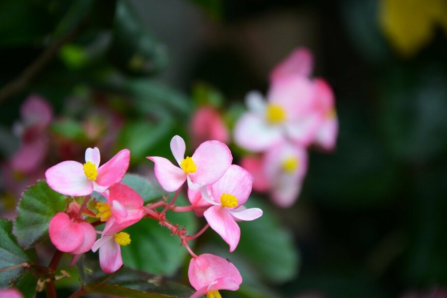 liuyushan/istockphoto.com