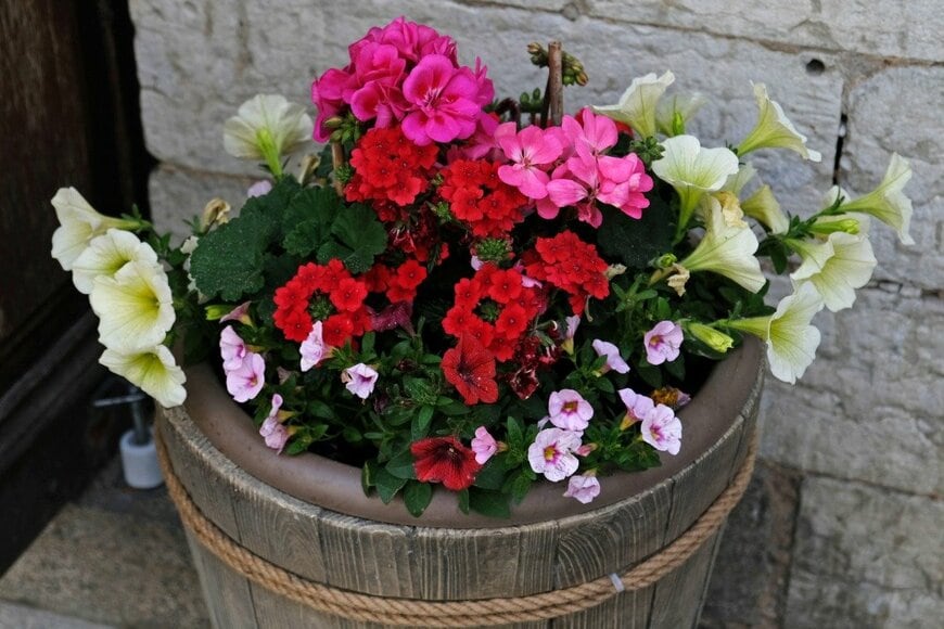 Yuliya Starikova/istockphoto.com