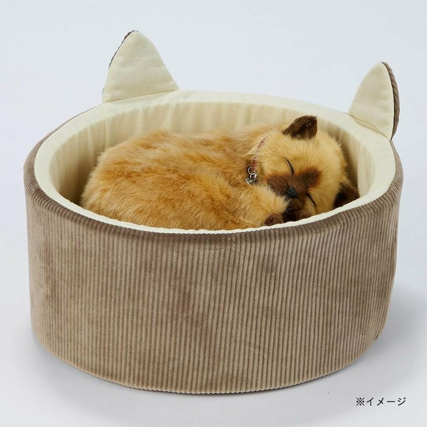 画像出所：カインズ公式オンラインショップ